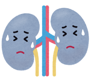 腎臓の機能と慢性腎臓病
