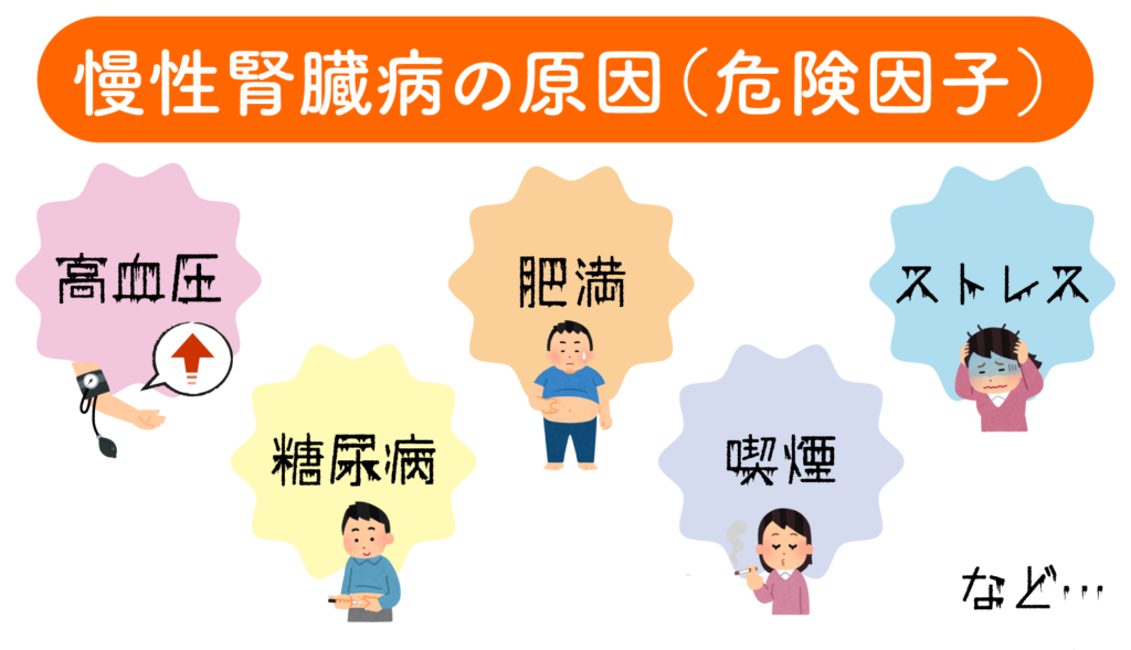 慢性腎臓病の原因と治療